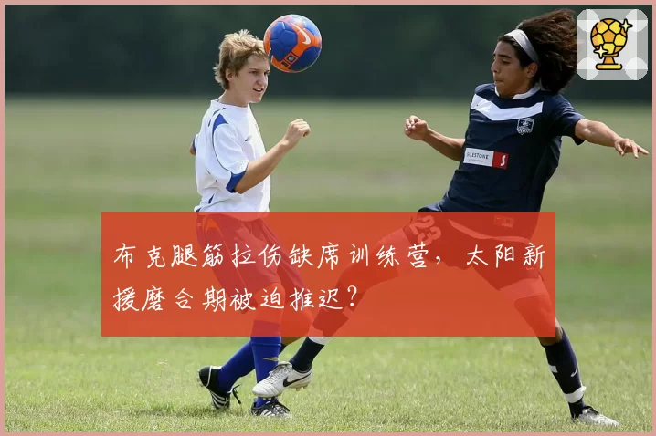 布克腿筋拉伤缺席训练营，太阳新援磨合期被迫推迟？